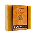 Plantlife Pumpkin Spice Bar Soap - Moisturizing and Soothing Soap for Your Skin - Hand Crafted Using Plant-Based Ingredients - Made in California 4oz Beauty & Personal Care Plantlife