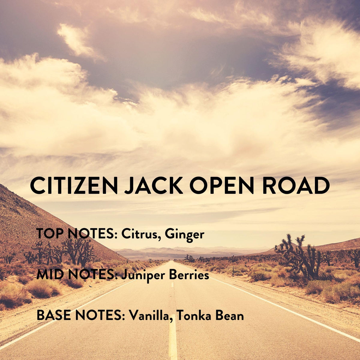 Michael Malul Citizen Jack Open Road Eau de Parfum for Men - 10ml Travel Size Beauty & Personal Care Michael Malul