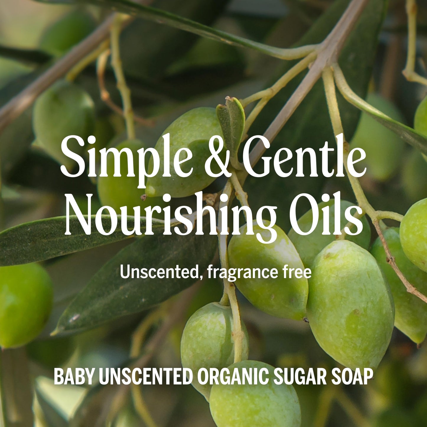 Dr. Bronner's Organic Sugar Soap (Baby Unscented, 24 Ounce) - Made with Regenerative Certified Organic Oils, Sugar & Shikakai Powder, 4-in-1 Use Beauty & Personal Care Dr. Bronner's