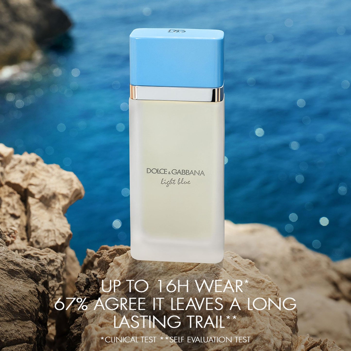 Dolce&Gabbana New Light Blue, Eau De Toilette Spray, For Women - 100 ml / 3.3 fl.oz Beauty and Personal Care Dolce&Gabbana