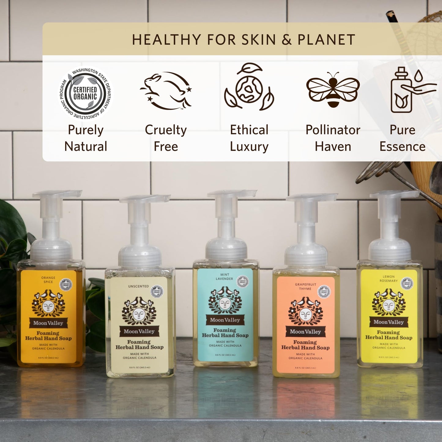 Moon Valley Herbal Foaming Hand Soap, Unscented Two Pack, Vegan, Recyclable Bottle Beauty & Personal Care Moon Valley Organics