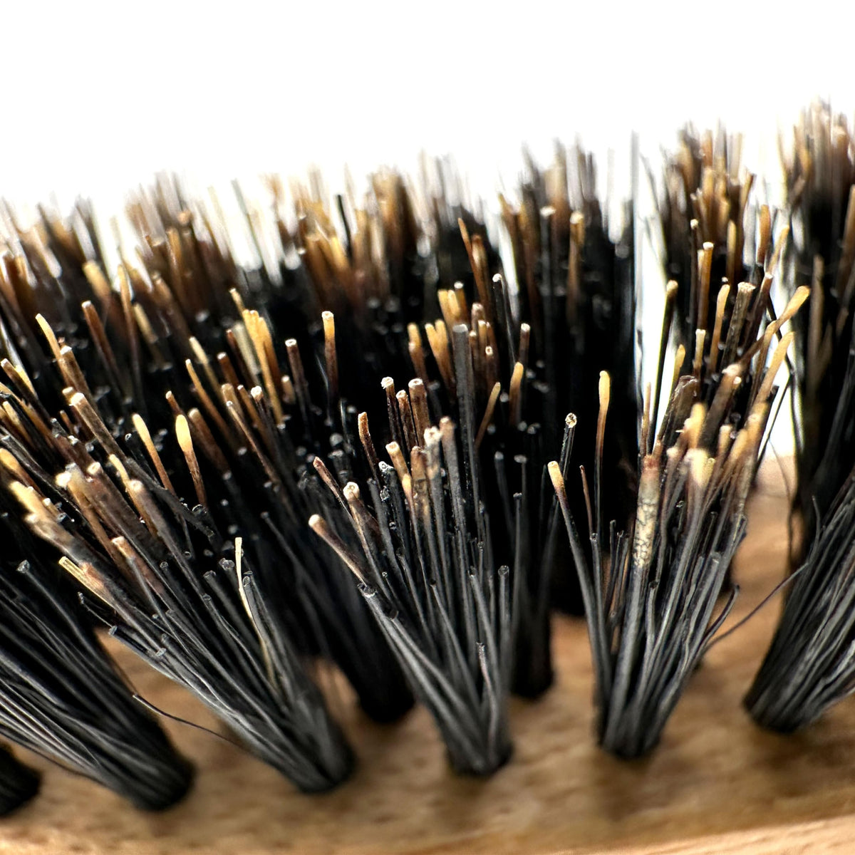 Phillips Brush Gentlemens’ Quarters Cadet 5-Row Narrow Styler Boar Bristle Hair Brush for Men Beauty & Personal Care Phillips Brush