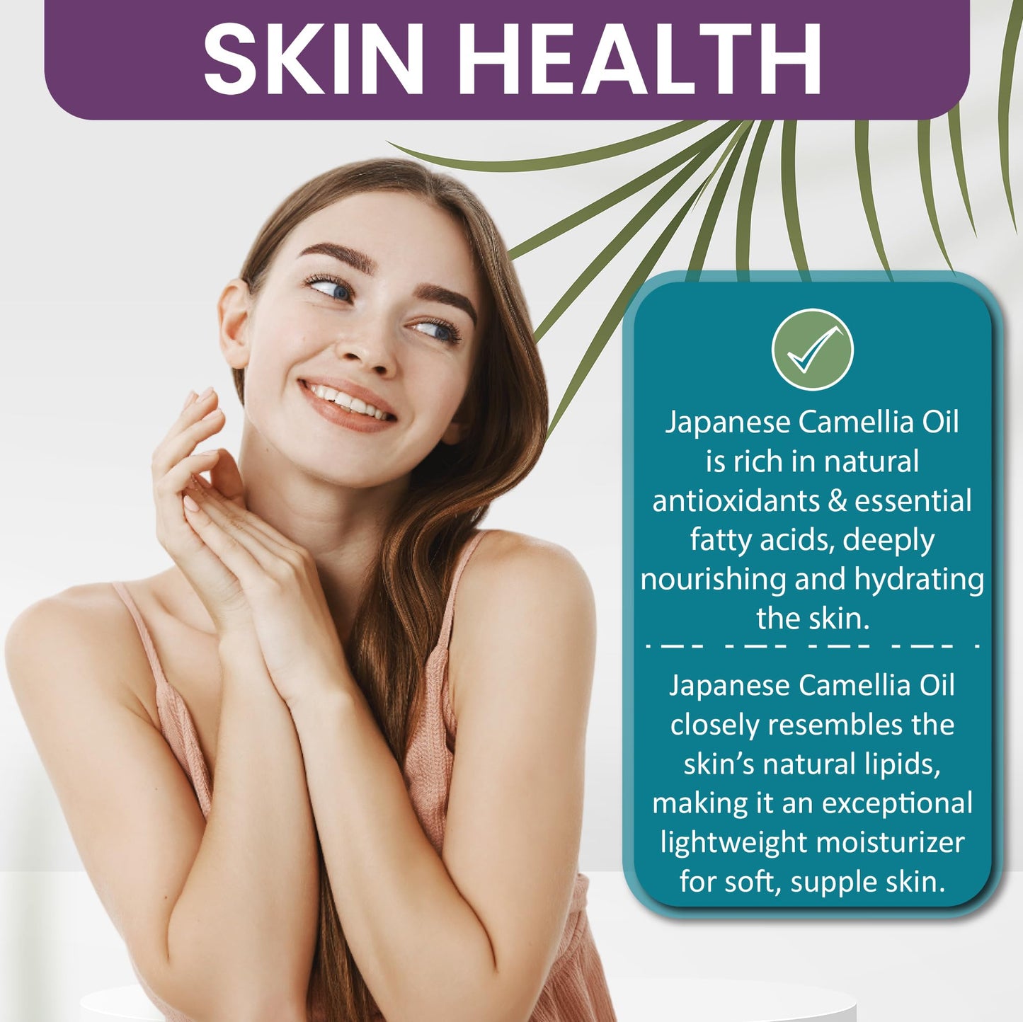 Dr Joe Lab Japanese Camellia Seed Oil - Pure, Cold Pressed, Non-GMO Carrier - 8 oz - for Skin, Hair, Nails, Body, Facial Hair - Hydrating Moisturizing Beauty & Personal Care Dr Joe Lab