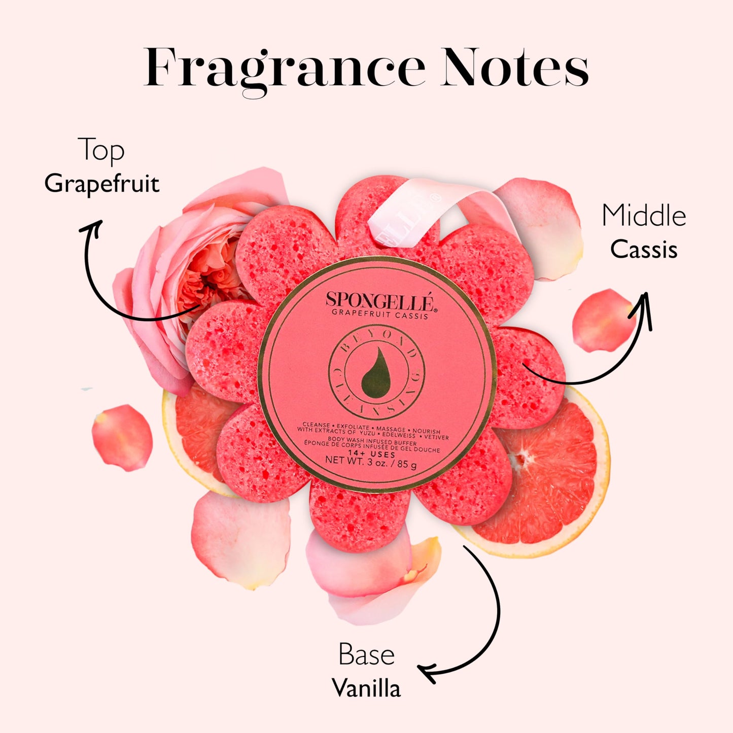 Spongellé Grapefruit Cassis Wild Flower Bath Sponge - Built-in Body Wash & Body Scrubber, Shower Loofah Sponge for Women - 14+ uses Beauty and Personal Care SPONGELLÉ