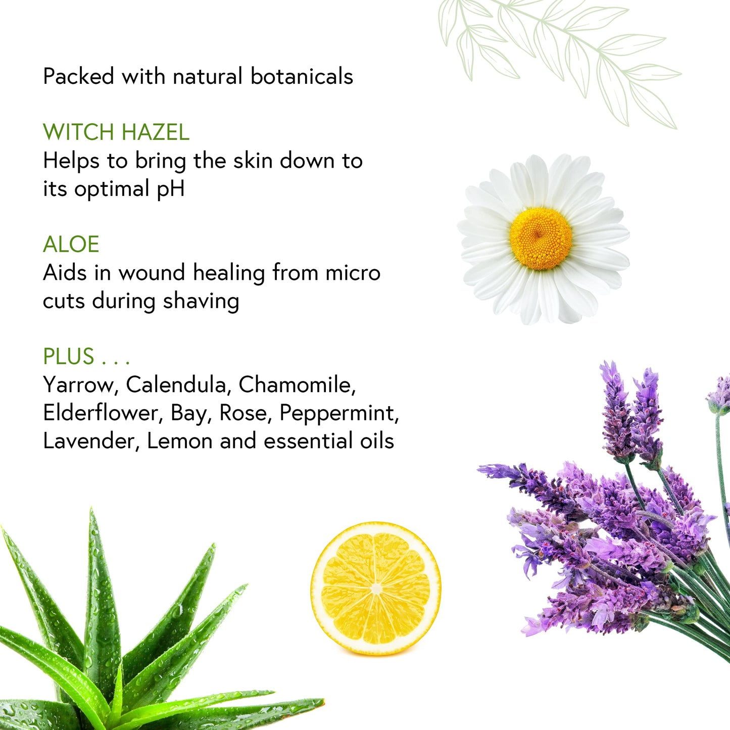 Honeybee Gardens Soothe & Refresh Herbal Aftershave with Aloe & Witch Hazel for Men - Unfragranced - The perfect blend for an all natural clean shave Beauty & Personal Care Honeybee Gardens