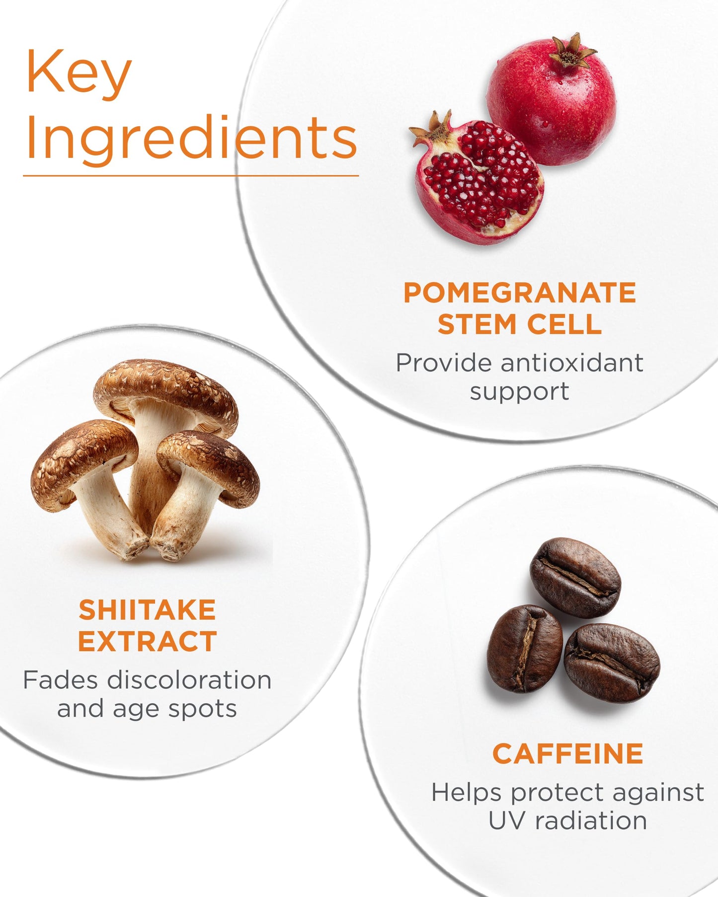 Andalou Naturals Dark Spot Corrector With Vitamin C | Face Serum for Uneven Skin Tone, Boost Radiance & Reduce Wrinkles | Pomegranate Stem Cells Beauty & Personal Care Andalou Naturals