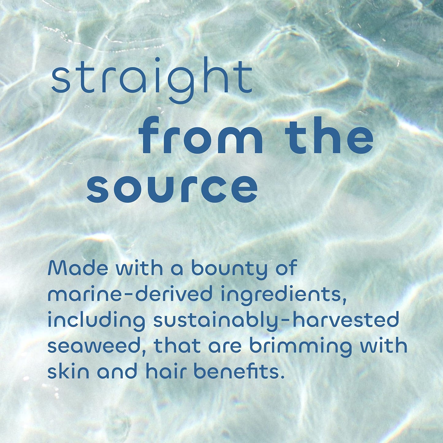 Seaweed Bath Co. Smooth Shampoo and Conditioner Set - Citrus Vanilla - Hydrate With Aloe, Borage Oil, and Broccoli Seed Oil for Sleek, Shiny Hair - 12 Beauty & Personal Care The Seaweed Bath Co.