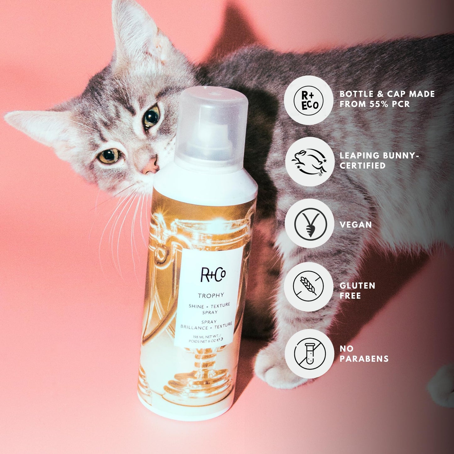 R+Co Trophy Shine + Texture Spray 198 ml / 6 oz Beauty & Personal Care R+Co