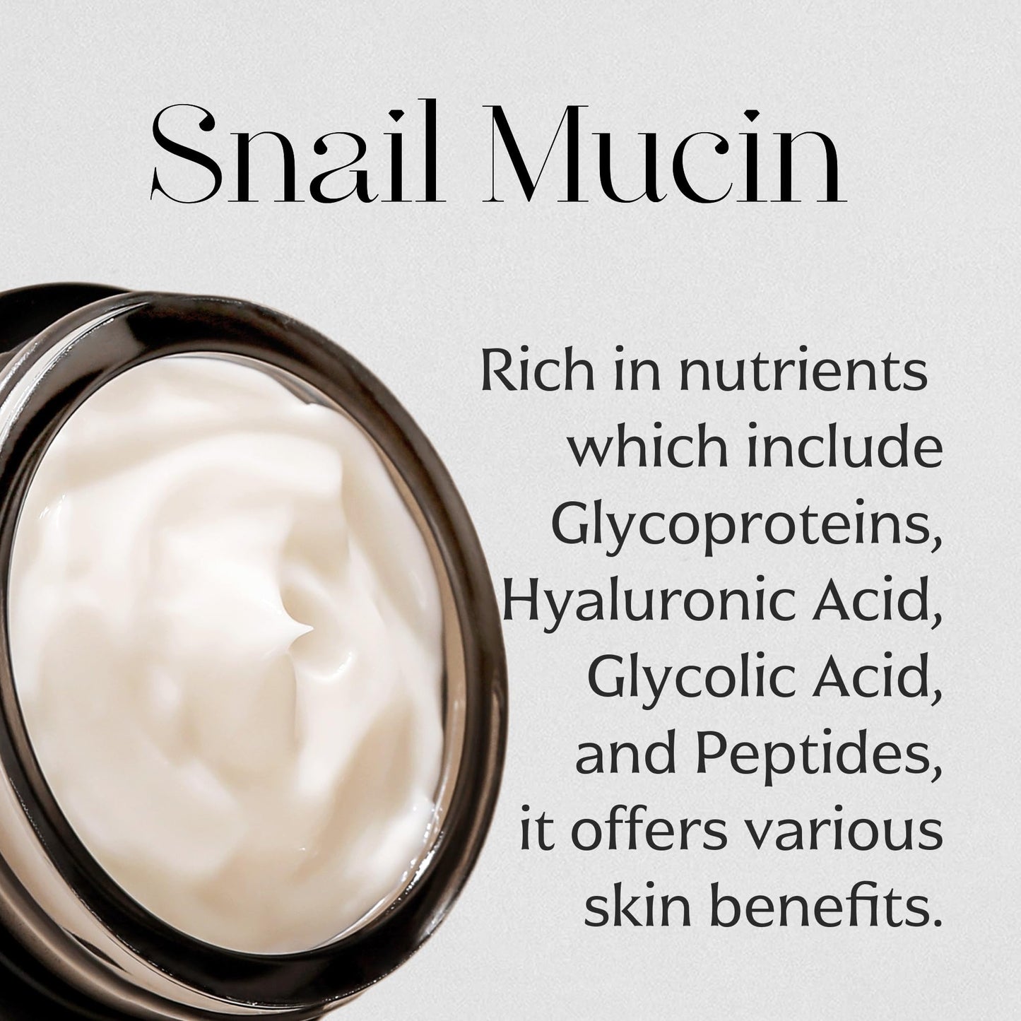 MIZON Black Snail All in One Cream Intensive Korean Skin Care Facial Moisturizer with Snail Mucin Extract (2.54 fl oz) Beauty & Personal Care MIZON