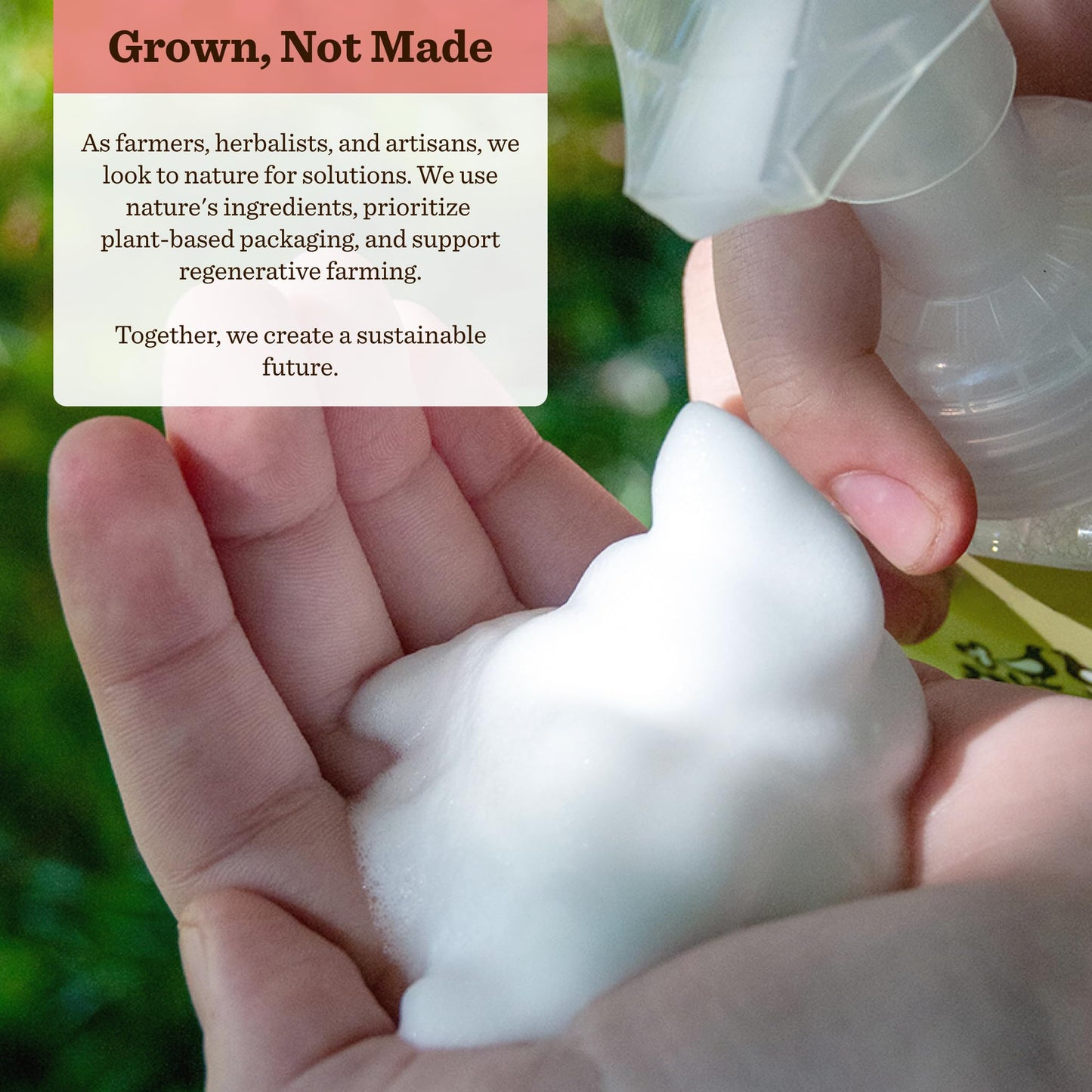 Moon Valley Herbal Foaming Hand Soap, Vegan (Candy Cane, Recyclable Bottle) Beauty & Personal Care Moon Valley Organics
