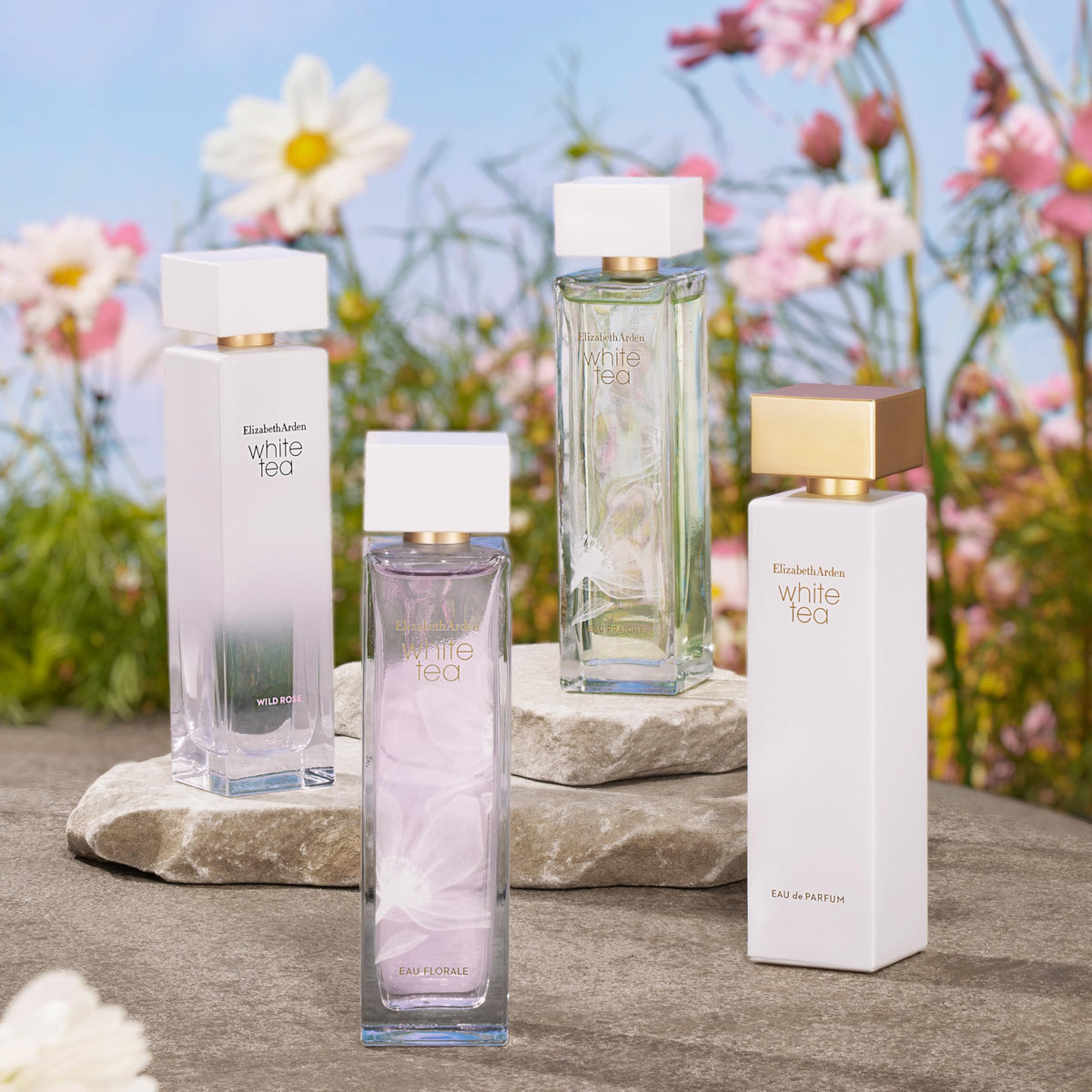 Elizabeth Arden White Tea Wild Rose Eau De Toilette Spray, Perfume for Women, 3.3 fl oz Beauty & Personal Care Elizabeth Arden