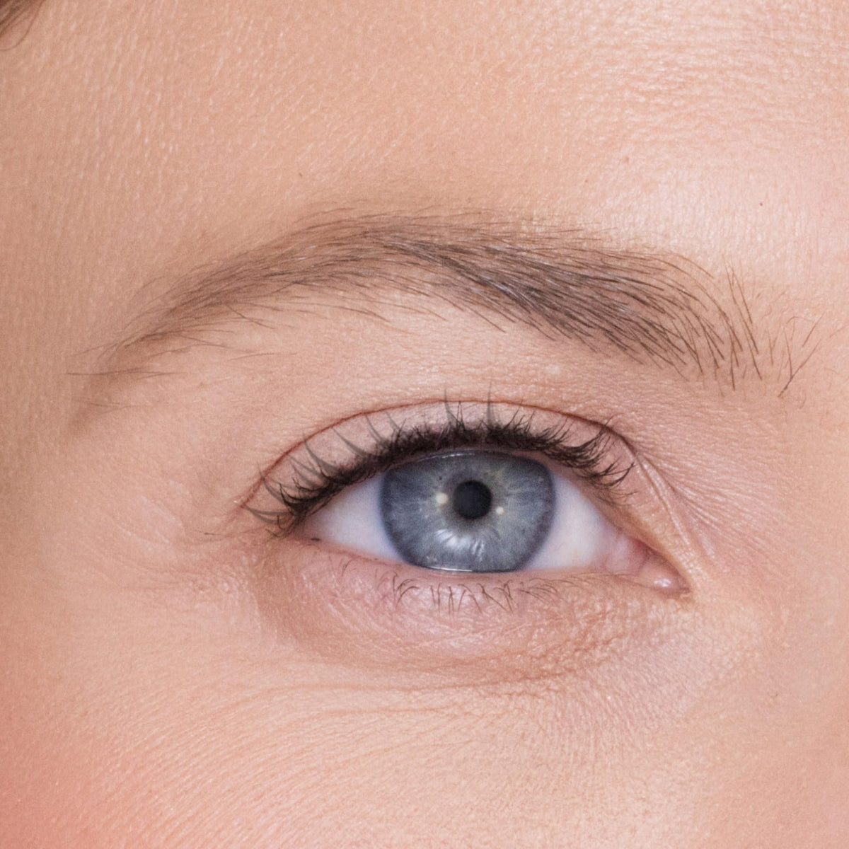 Trish McEvoy Fuller Brows, Blonde, 0.1 g / 0.003 oz