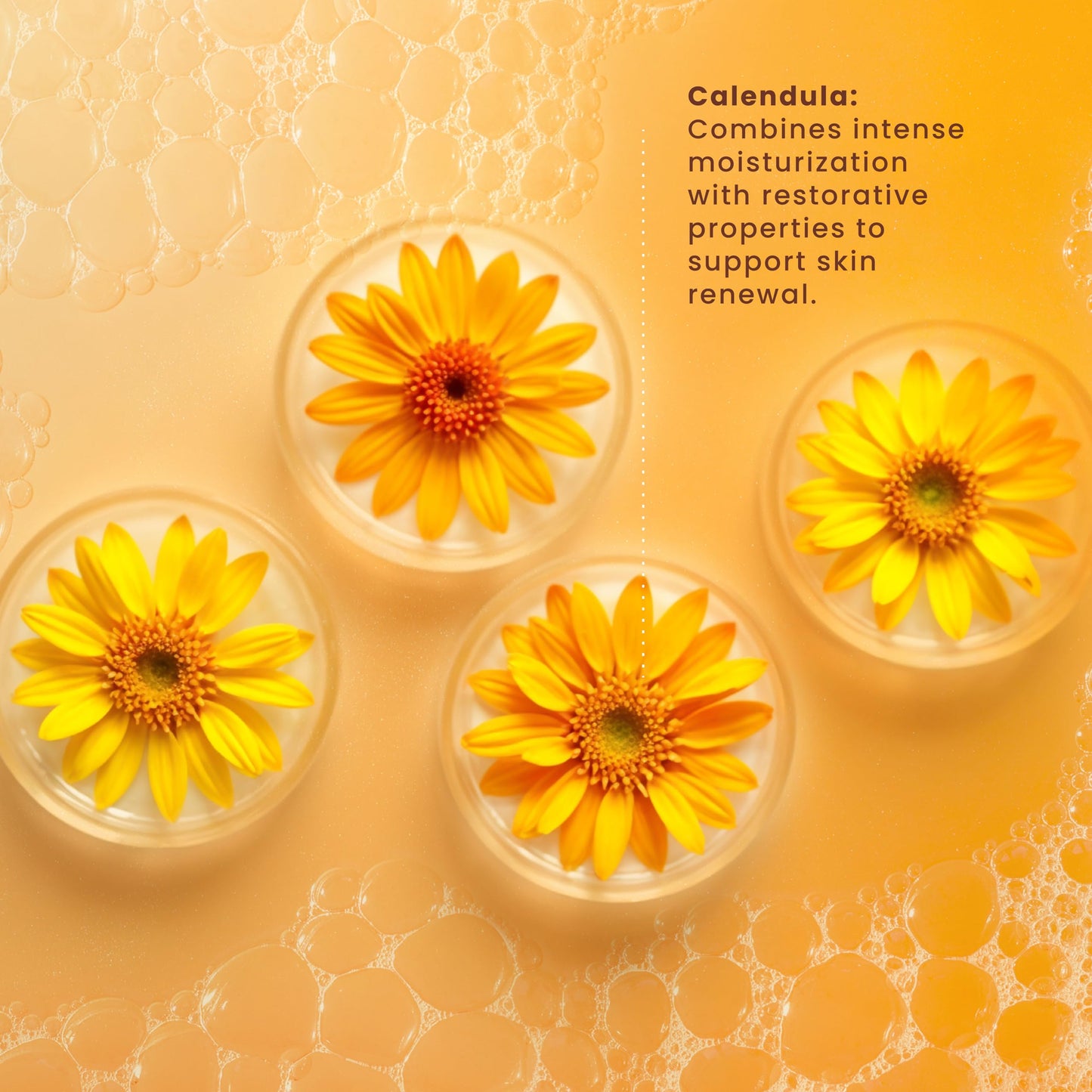 Pili Natural Calendula Soap Bars for Face and Body, for Dry or Cracked Skin, Gentle Cleanser for Men, Women and Teens (3 Pack) Beauty & Personal Care Pili Natural