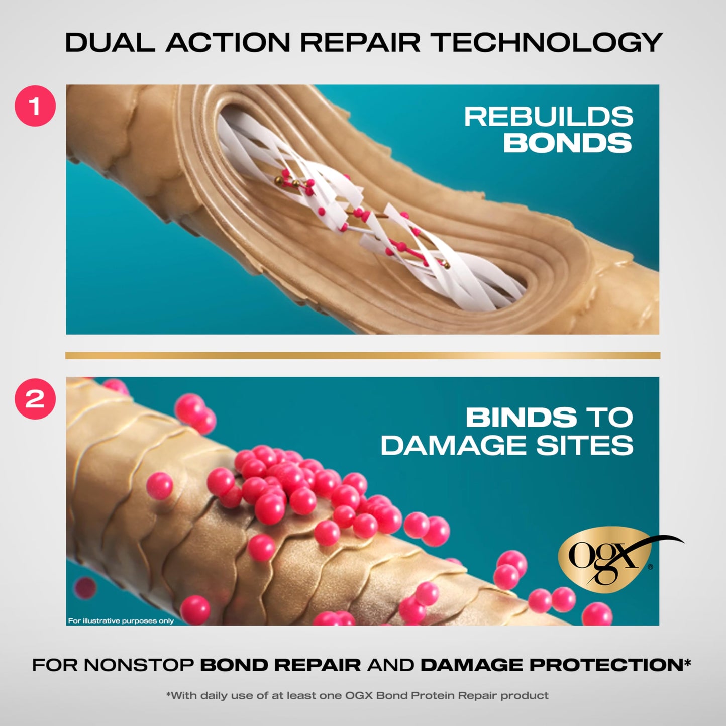 OGX Repair & Protect Bond Protein Repair Shampoo, Lightweight Hair Wash Cleanses & Targets Damaged Hair for Effective Bond Repair, Formulated without Beauty and Personal Care OGX