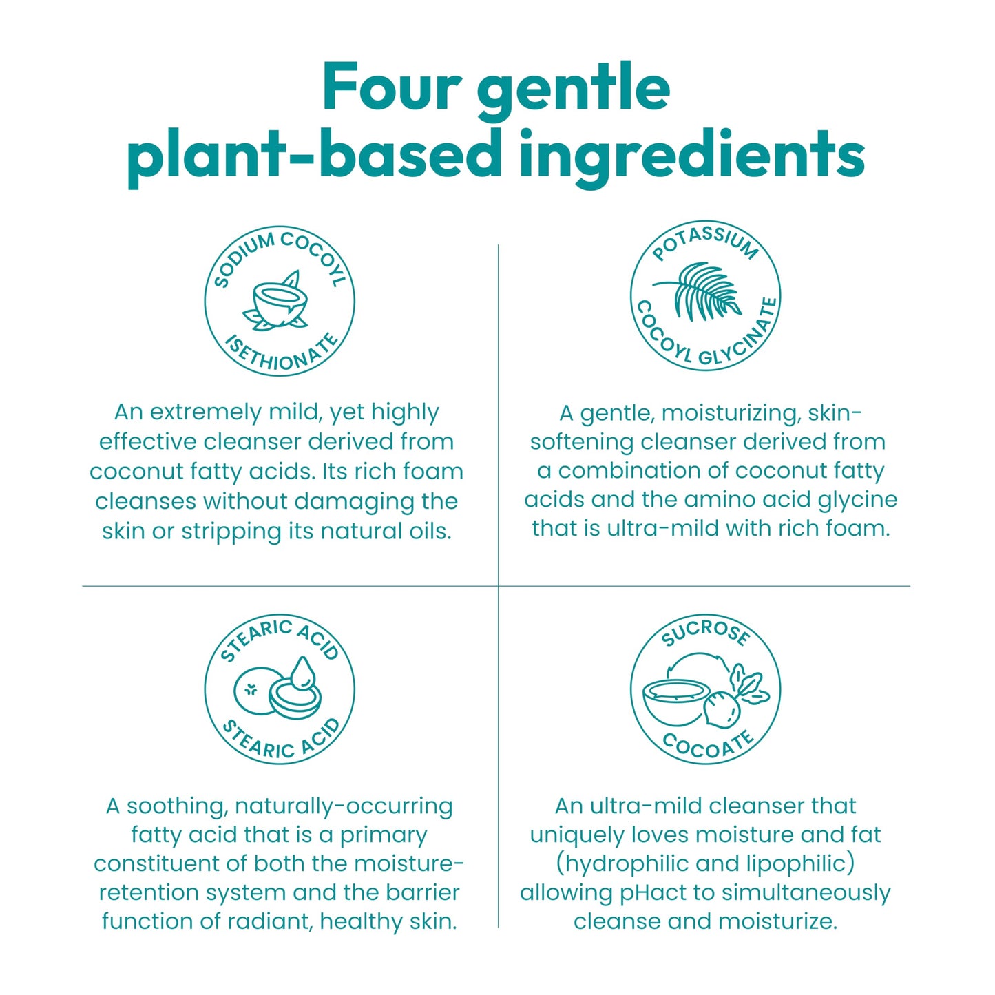 ANDREW LESSMAN pHact Moisture-Rich, Soap-Free Cleansing Bar. Natural Skin pH. Fragrance-Free. All Skin Types - Even Sensitive Skin. Hypoallergenic Beauty & Personal Care ANDREW LESSMAN