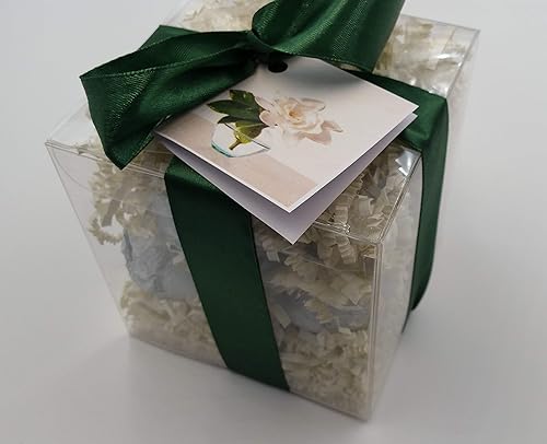 Spa Pure Gardenia Bath Bombs: White Gardenia Gift Set with 6 Bath Bomb Fizzies with Shea, Mango & Cocoa Butter, Ultra Moisturizing (14 Oz) Great… Beauty & Personal Care Spa Pure