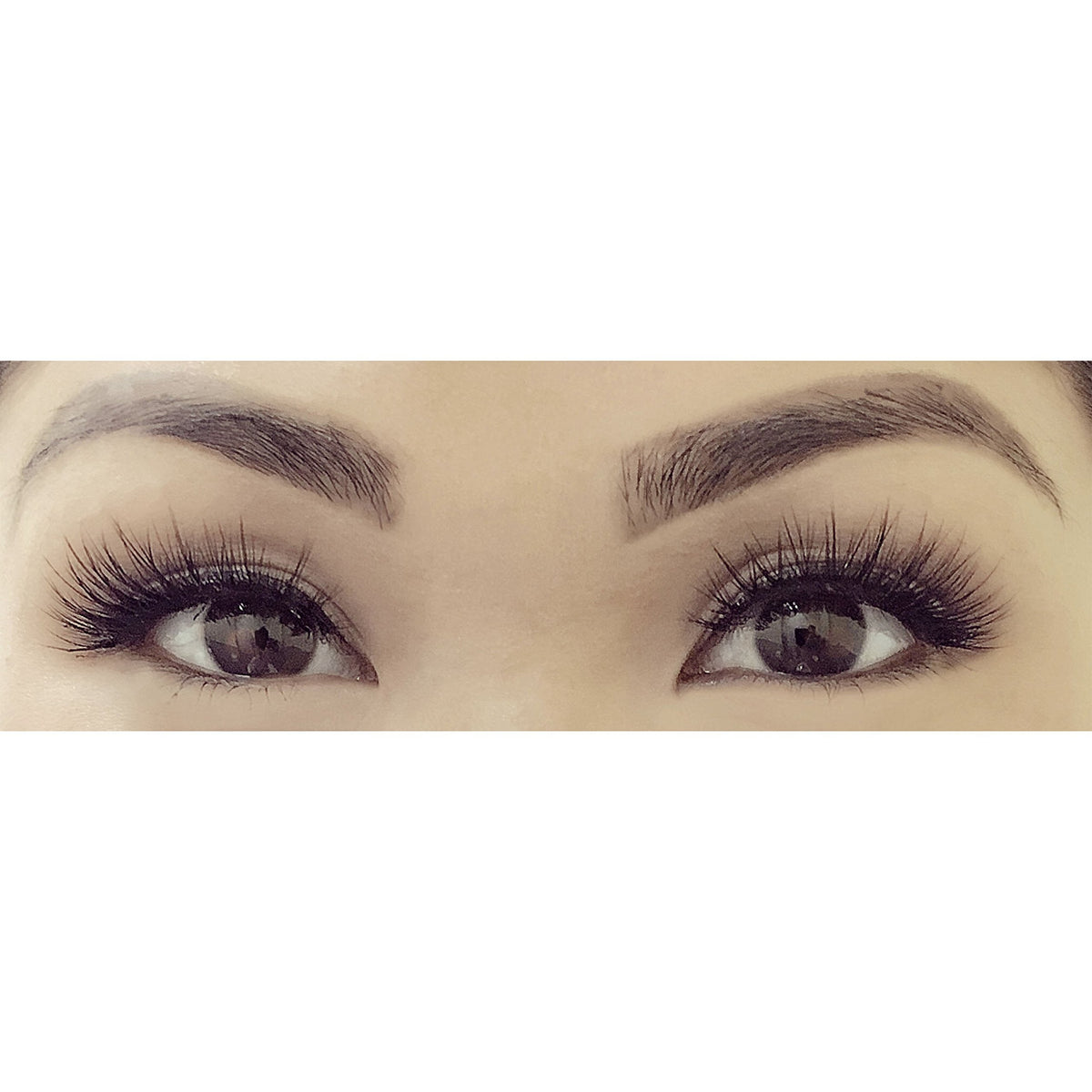 The Book of Lashes: Volume 1 - (Reusable False Eyelashes) - (Cruelty Free) - (3 Pairs) Beauty & Personal Care The Book of Lashes