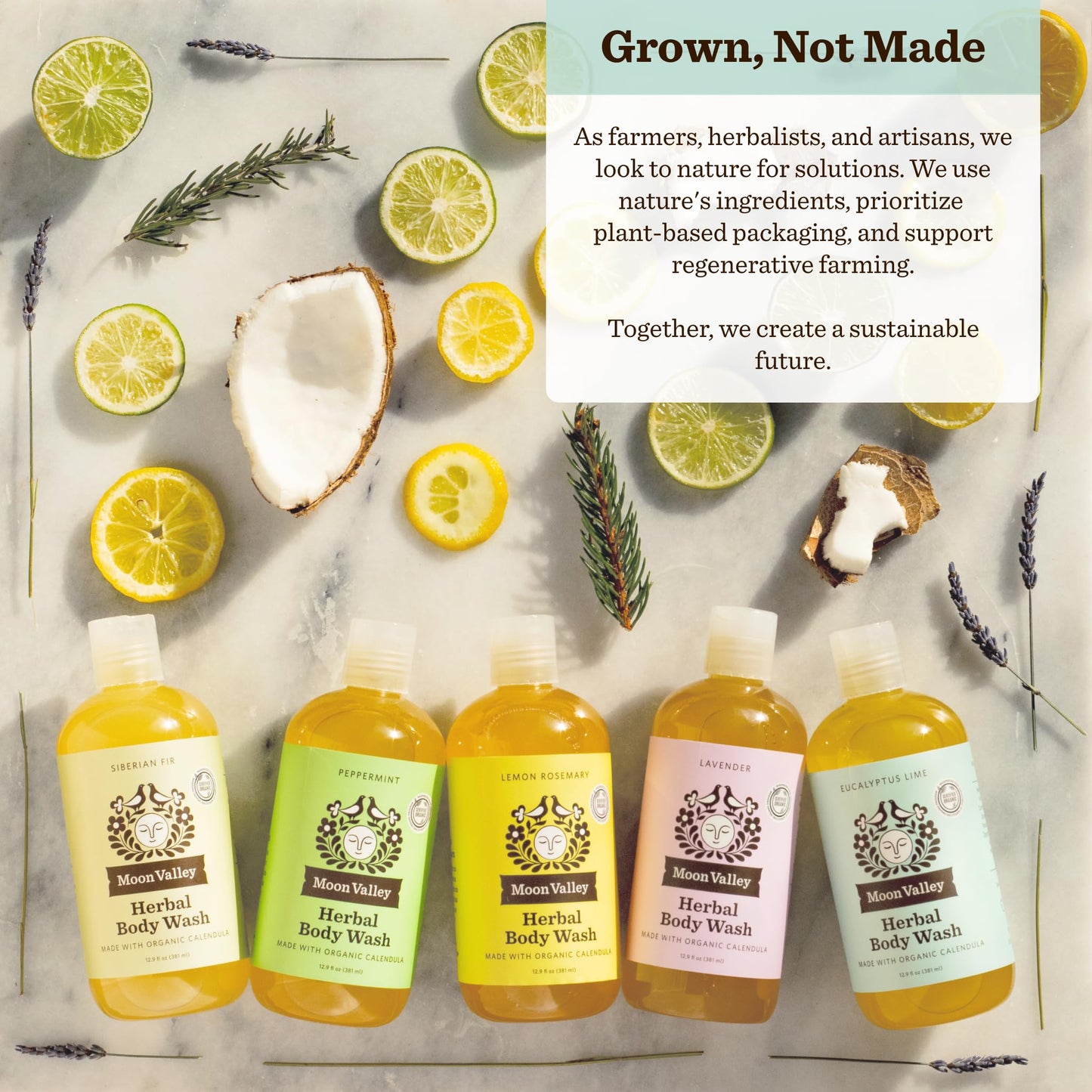 Herbal Body Wash, Eucalyptus Lime by Moon Valley, All Natural Ingredients, No Parabens, Vegan, Moisturizing Essential Oils, Two Pack Beauty & Personal Care Moon Valley Organics
