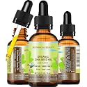 Botanical Beauty Organic CHIA SEED OIL 100% Pure Natural Virgin Unrefined Cold-Pressed Carrier Oil for Face, Skin, Body, Hair, Lip, Nails. Rich in Beauty & Personal Care Botanical Beauty