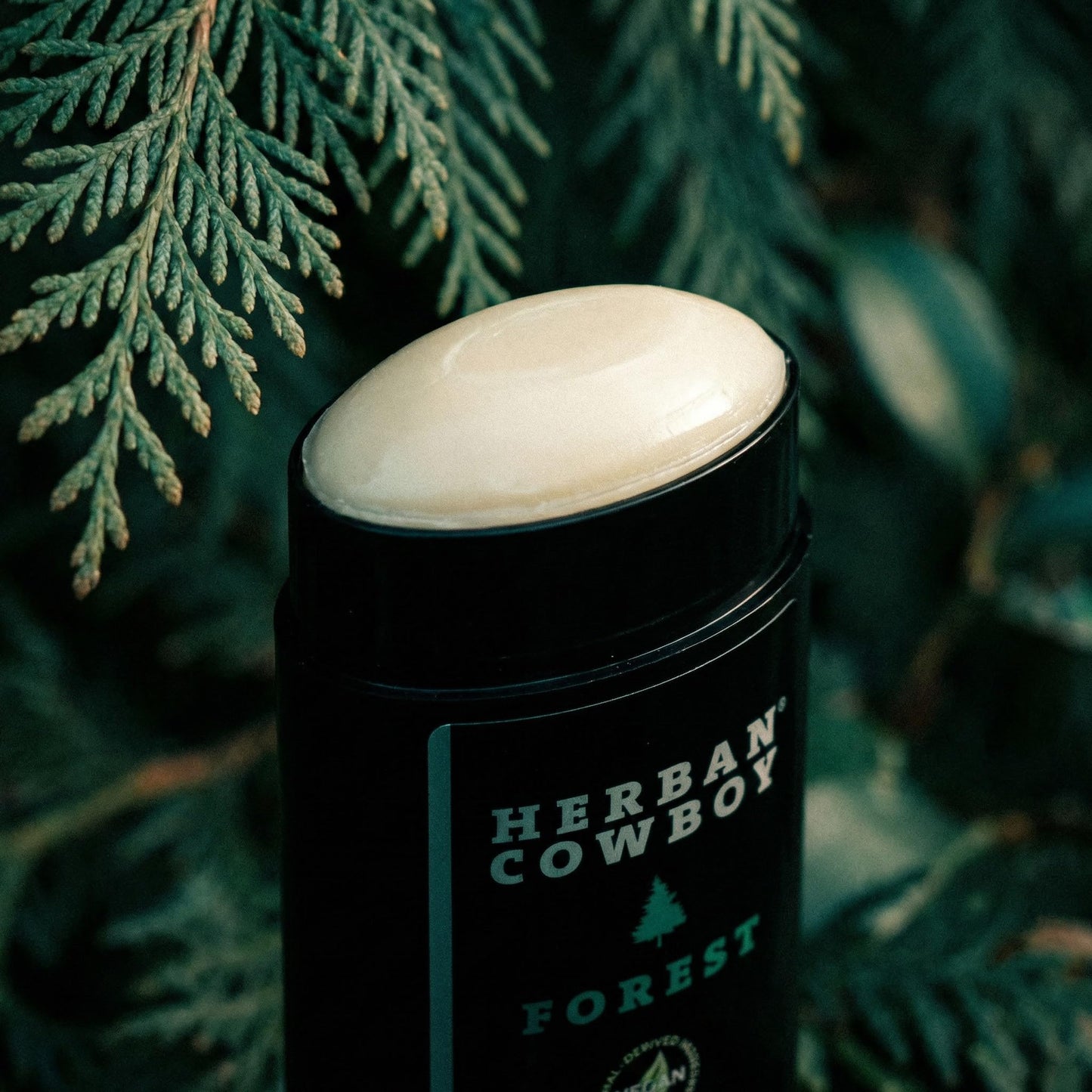 Herban Cowboy Forest Aloe Infused Deodorant with Hints of Cedar, Mandarin, and Black Pepper (2.8 oz) Beauty and Personal Care Herban Cowboy