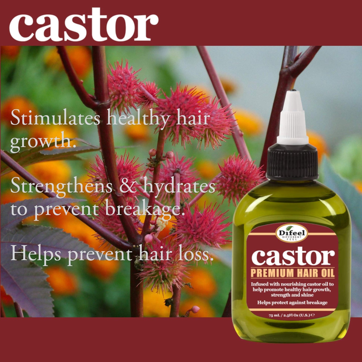 Difeel Castor Pro-Growth Hair Oil 2.5 oz. - Made with Natural Castor Oil for Hair Growth Beauty & Personal Care Difeel
