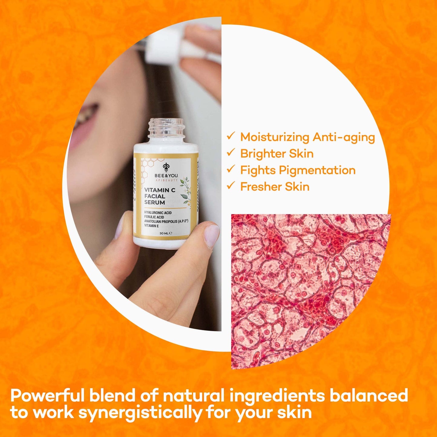 Bee and You Vitamin C Face Serum | Moisturizing Anti Aging, Reduce the Appearance of Dark Spots, Glow Up Skin Brightener with Propolis, Vitamin E Beauty & Personal Care BEE & YOU