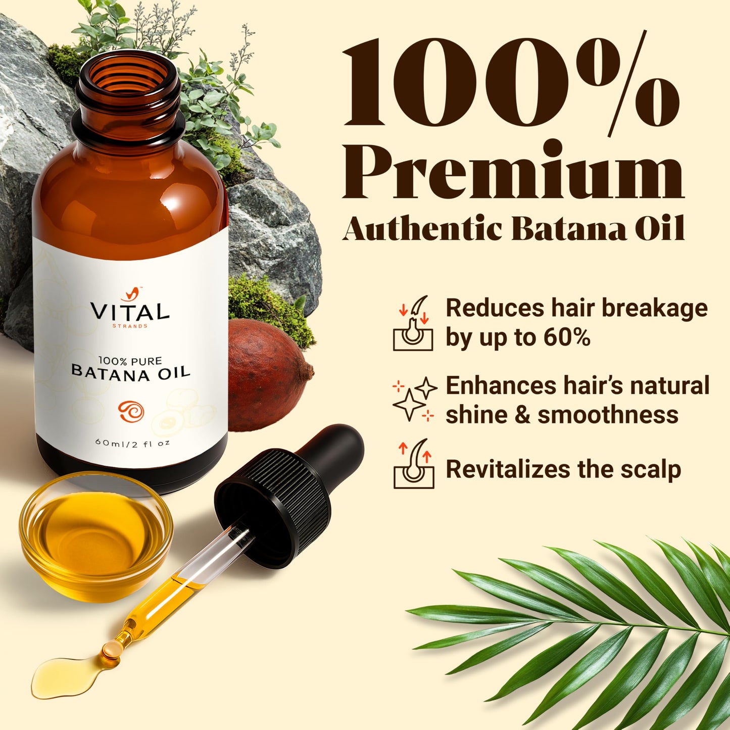 Vital Strands Batana Oil for Hair Growth - 100% Pure & Organic Botana Oil from Honduras - Strengthens, Thickens & Restores Natural Hair - Cold Pressed Beauty & Personal Care Vital Strands