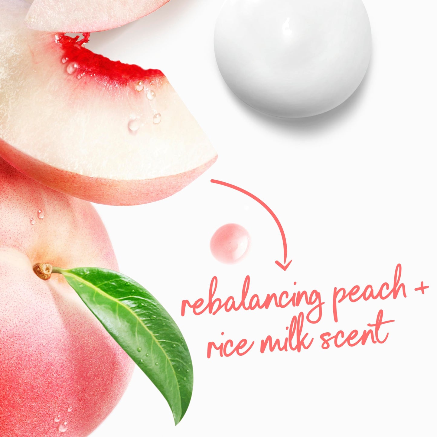 Dove Body Wash Rebalance White Peach & Rice Milk For 24hr Lotion-Soft Skin Moisturizing Skin Cleanser with No Sulfates No Parabens 20 oz Beauty & Personal Care Dove