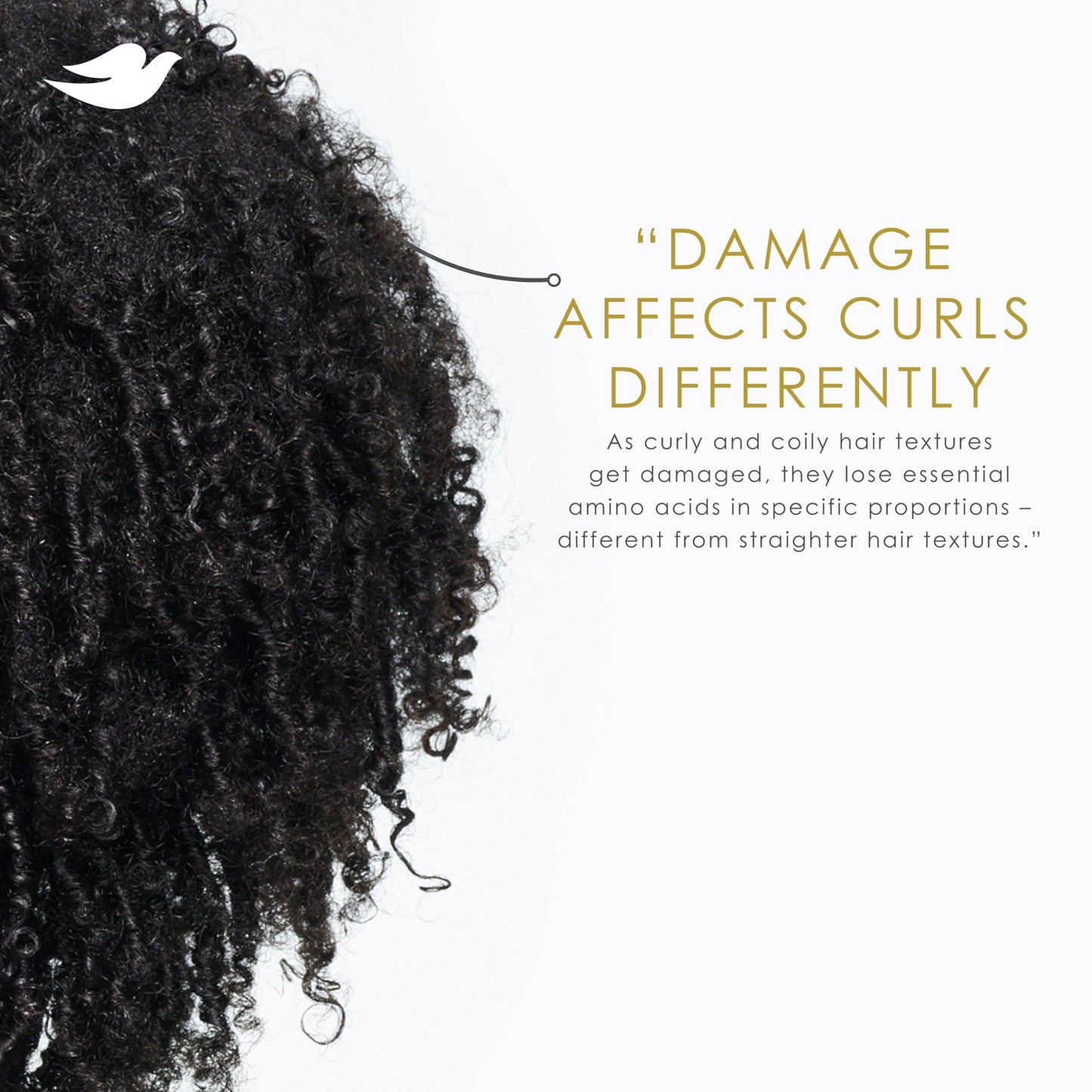 Dove Curl Cream Amino Curl for Curly, Coily Hair with Bio-Protein Care Technology + Amino Complex 8 Fl Oz Beauty & Personal Care Dove