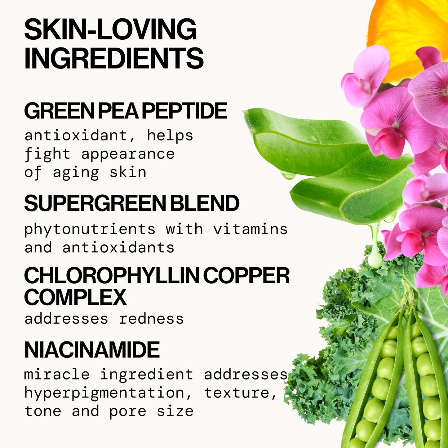Pacifica Kale Smoothie Face Lotion, Refining Skincare, Face Moisturizer, Niacinamide, Vitamin C and E, Minimize Pores, Face Serum, For All Skin Types Beauty & Personal Care Pacifica