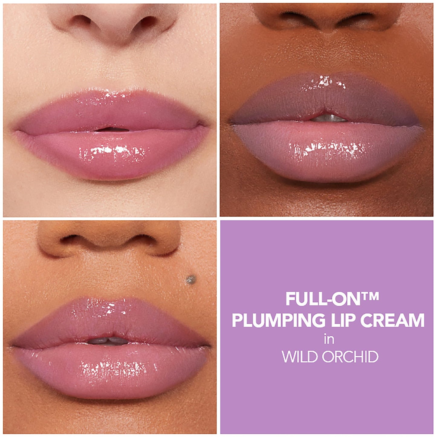Buxom Full-On Plumping Lip Cream, Wild Orchid Beauty & Personal Care Buxom