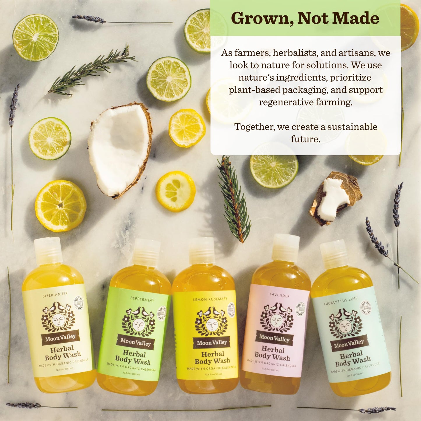 Herbal Body Wash, Peppermint by Moon Valley, All Natural Ingredients, No Parabens, Vegan, Moisturizing Essential Oils, Two Pack Beauty & Personal Care Moon Valley Organics