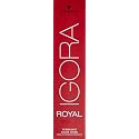 Schwarzkopf - ROYAL IGORA 60 ml 7-00 by Unknown Beauty & Personal Care Schwarzkopf Professional