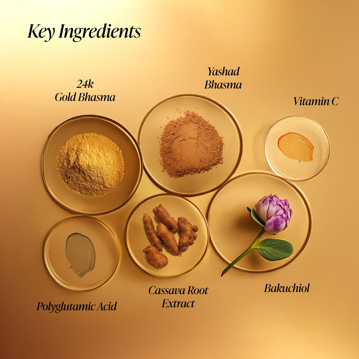Forest Essentials Soundarya Radiance Cream with 24K Gold, 50g