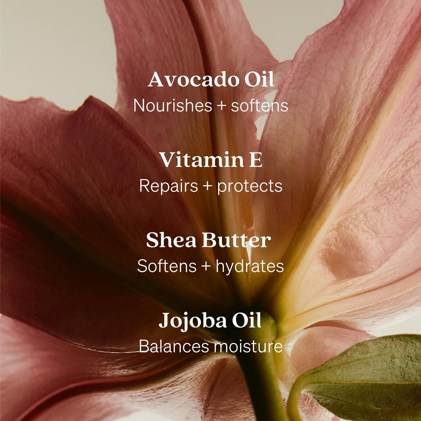 Loved01 Hand & Body Lotion, John Legend Skincare, Fragrance-Free, Daily Lightweight Cream, Oprah's Favorite Things, Formulated with Shea Butter Beauty & Personal Care Loved01