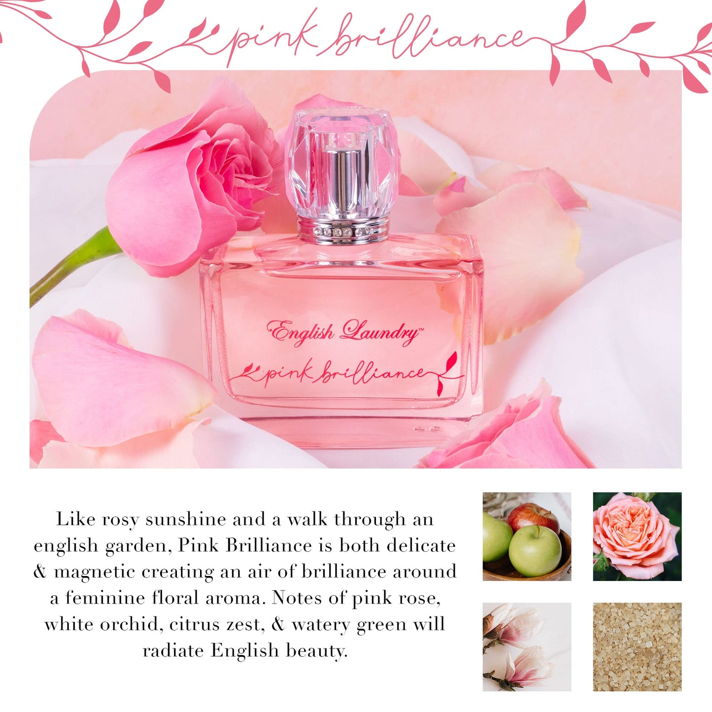 English Laundry Pink Brilliance EDP, 3.4 fl. oz. Beauty & Personal Care English Laundry