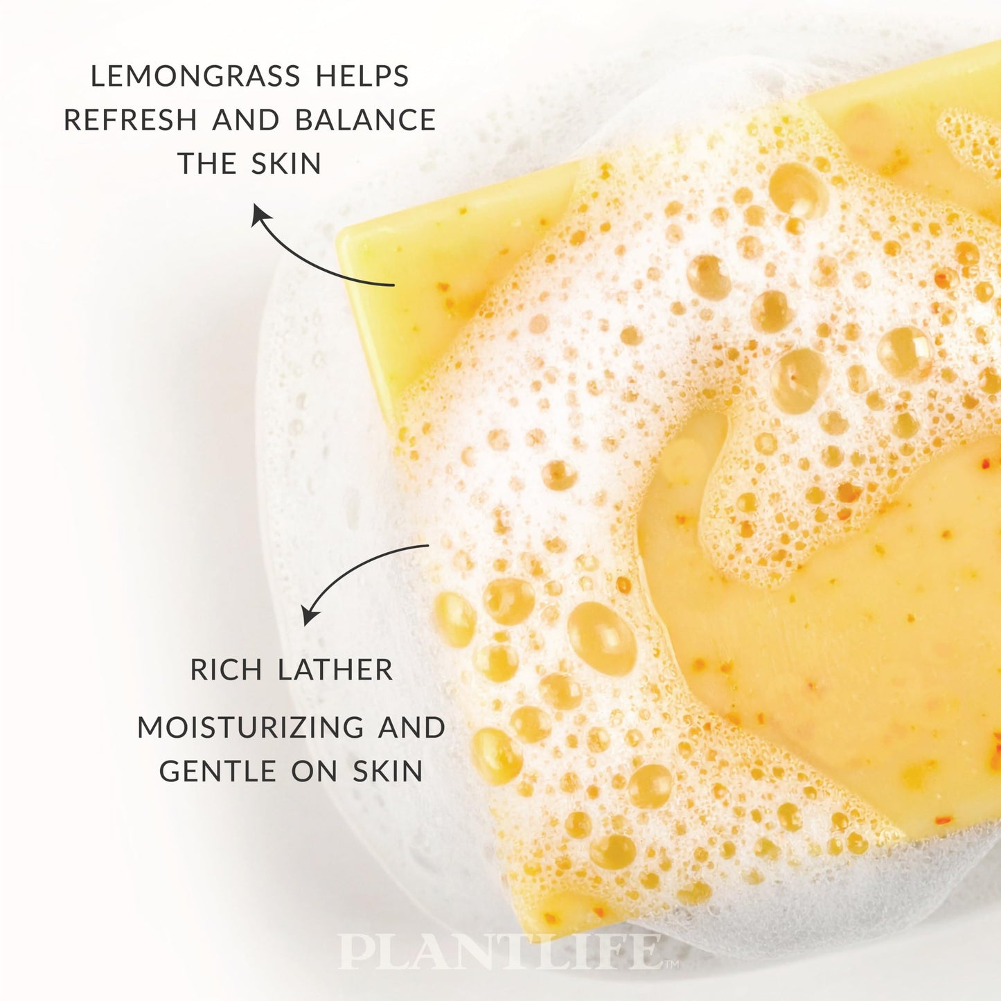 Plantlife Lemongrass Bar Soap - Moisturizing and Soothing Soap for Your Skin - Hand Crafted Using Plant-Based Ingredients - Made in California 4oz Bar Beauty & Personal Care Plantlife