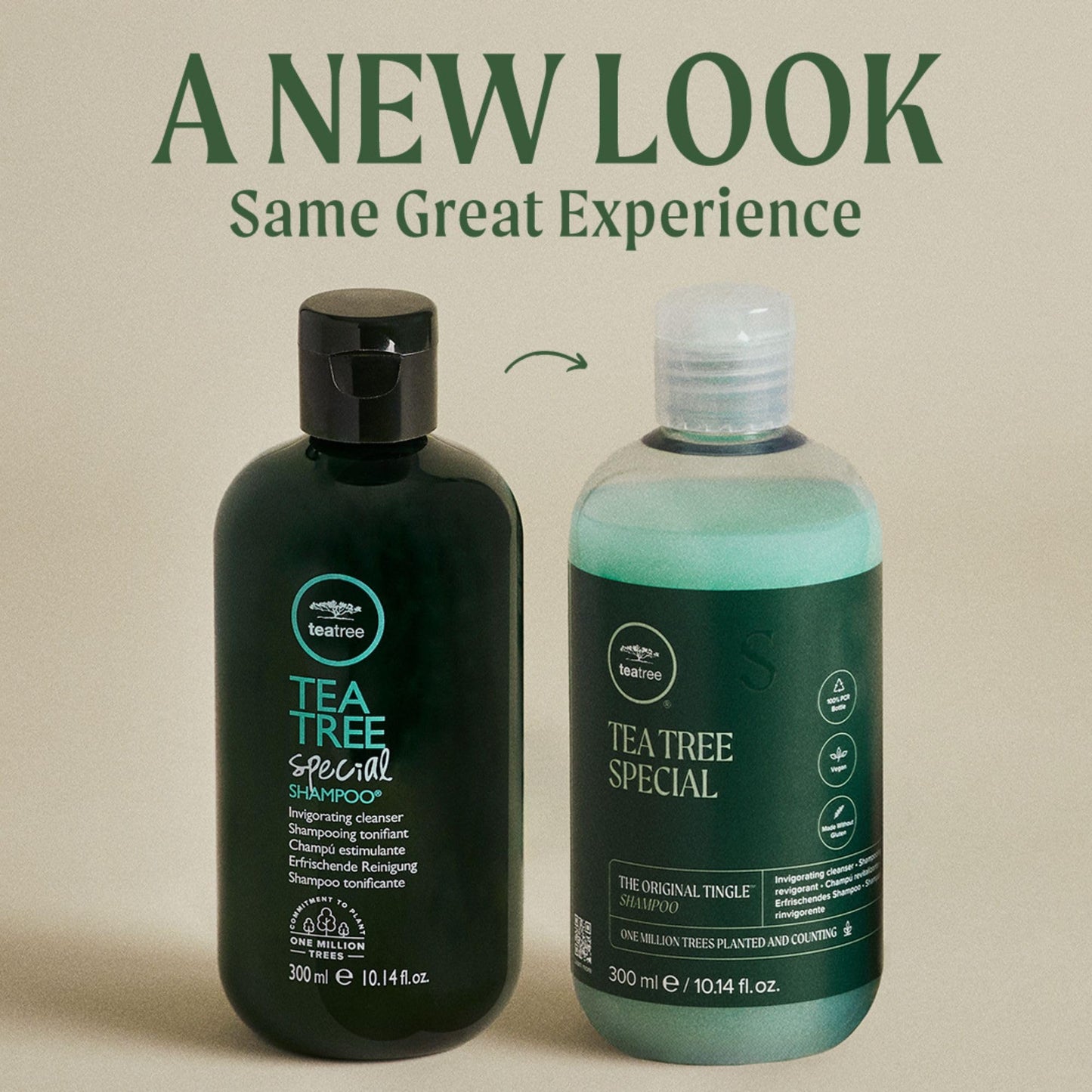 Tea Tree Special Shampoo, Deep Cleans, Refreshes Scalp, For All Hair Types, Especially Oily Hair, 10.14 fl. oz. Beauty & Personal Care Tea Tree