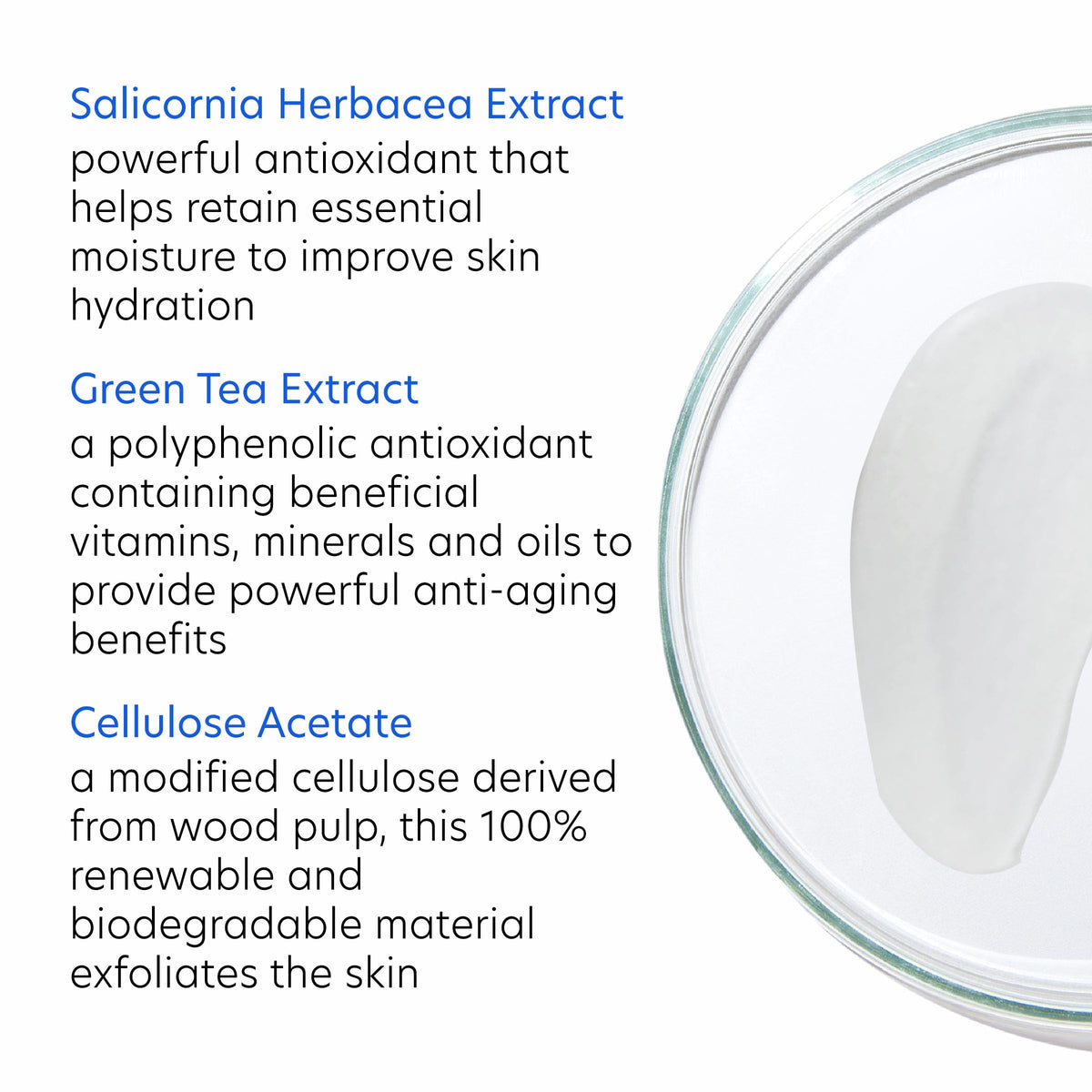 PCA SKIN Daily Face Exfoliant Cleanser, Moisturizing Face Wash, Gently Cleanses Dirt, Debris, and Other Impurities From Skin, Facial Cleanser Made Beauty & Personal Care PCA SKIN