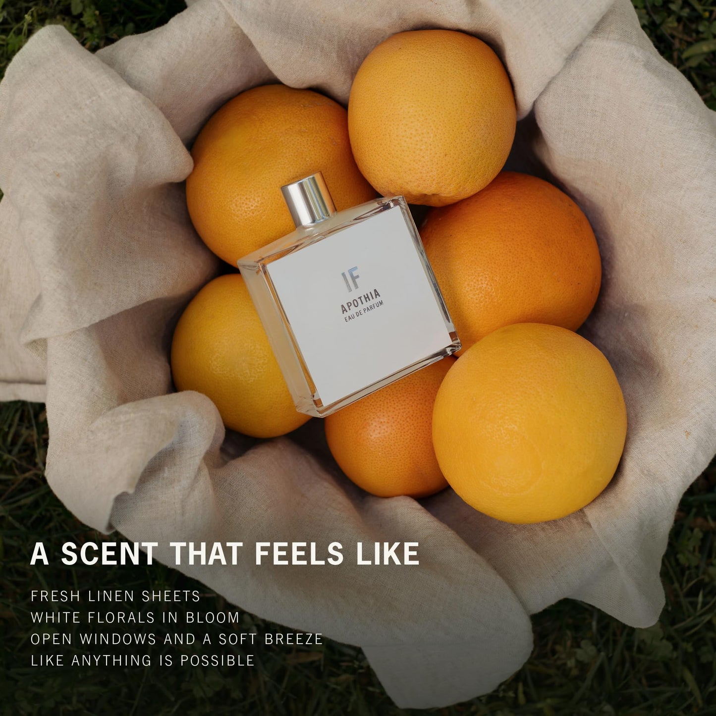 APOTHIA Eau de Parfum | IF | Bergamot, Gardenia, Tuberose, White Jasmine & Musk | Clean, Long Lasting Perfume for Women | Non-Toxic, Cruelty Free | Beauty & Personal Care APOTHIA
