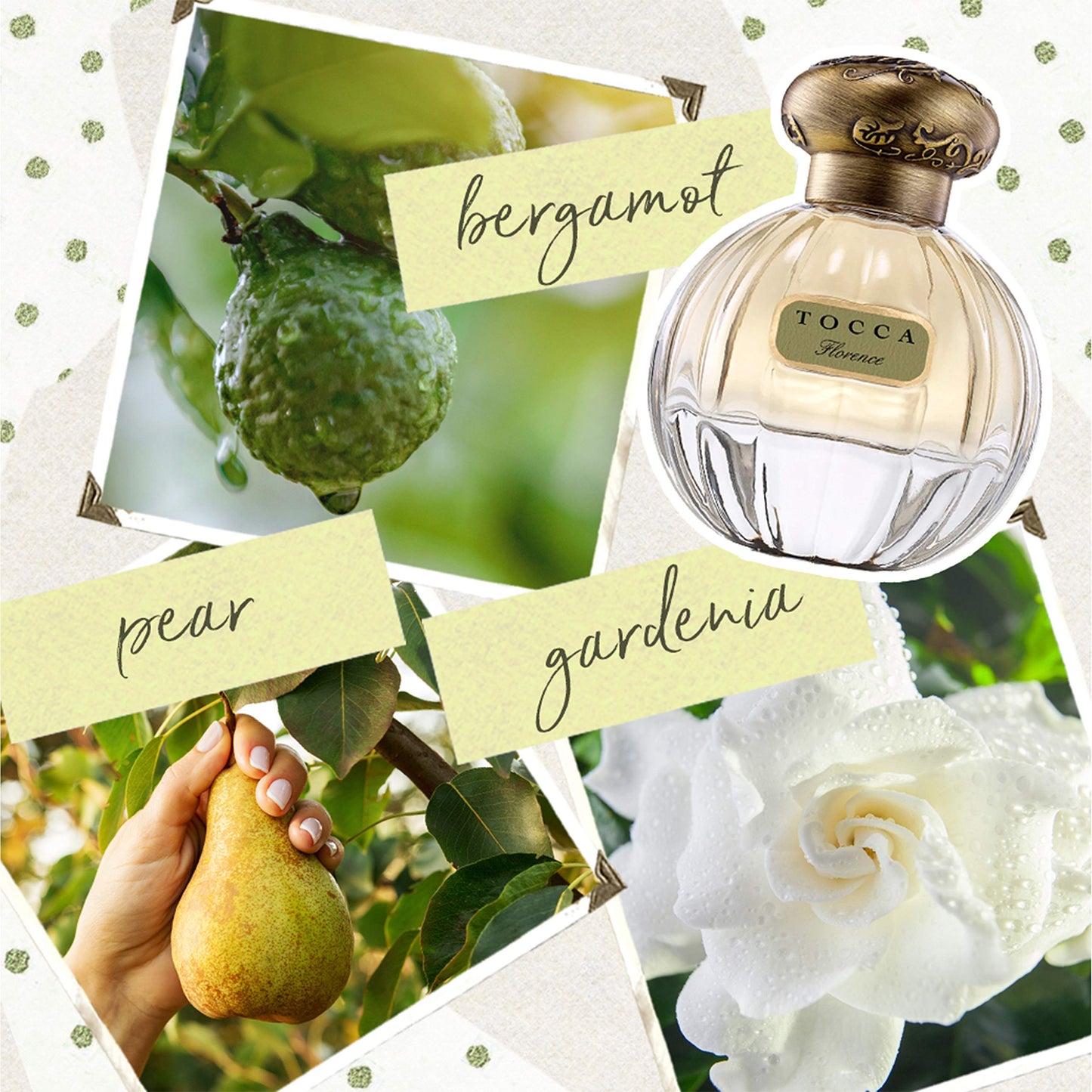 Tocca Beauty Eau de Parfum Viaggio Trio (Cleopatra, Stella, Florence) Beauty & Personal Care Tocca