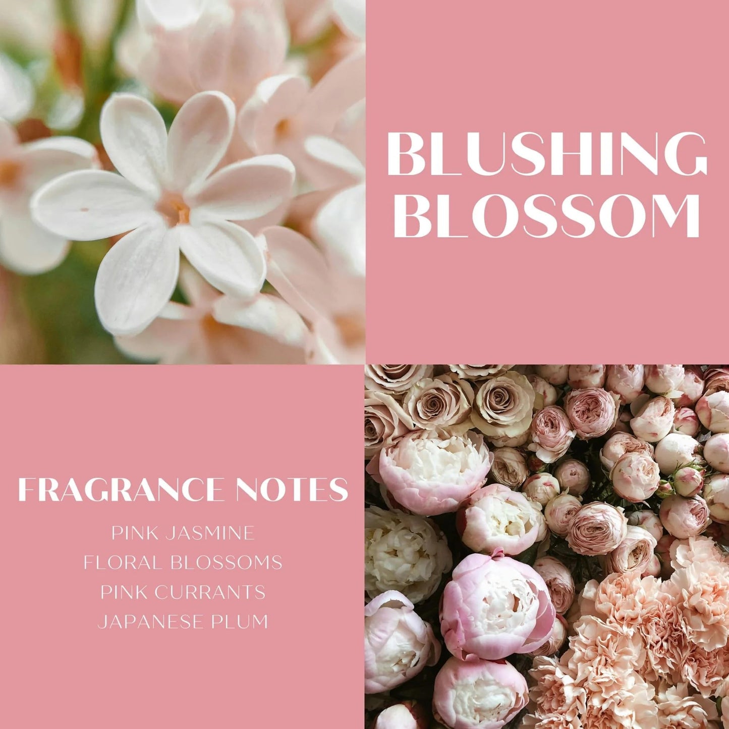 ScentWorx Blushing Blossoms 16 oz Hand Soap Beauty & Personal Care ScentWorx by Slatkin + Co.