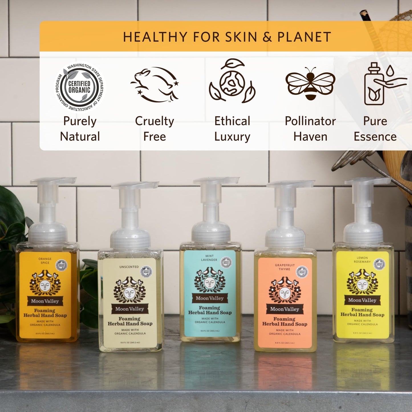 Moon Valley Herbal Foaming Hand Soap, Orange Spice Two Pack, Vegan, Recyclable Bottle Beauty & Personal Care Moon Valley Organics