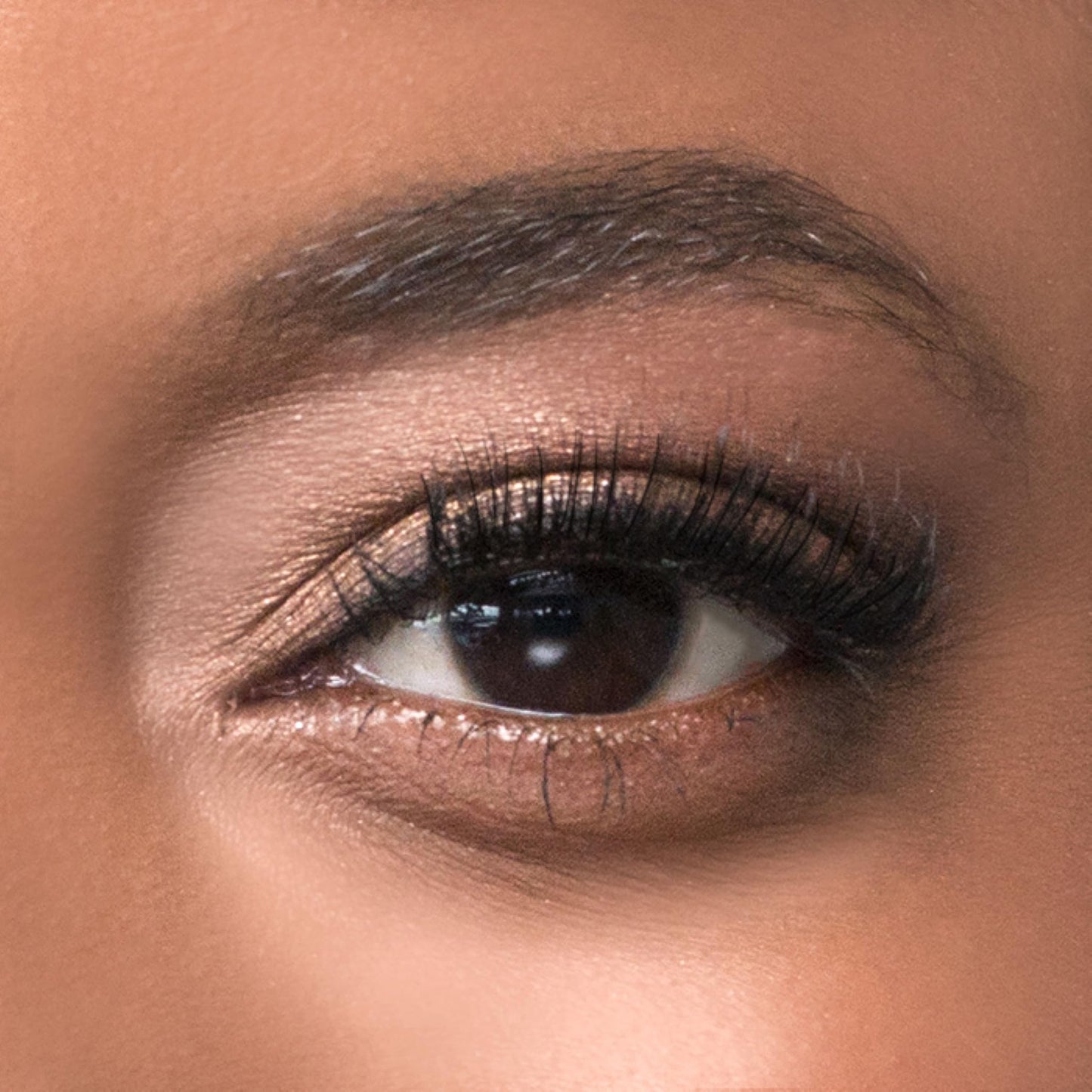 KISS Magnetic Lash 01, Synthetic False Eyelashes with Magnets Under and Over Your Upper Lashes, No Glue Needed, Lightweight, Reusable, Contact Lens Beauty & Personal Care KISS