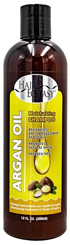 Hair Ecstasy Argan Oil Shampoo 12oz Beauty & Personal Care Hair Ecstasy