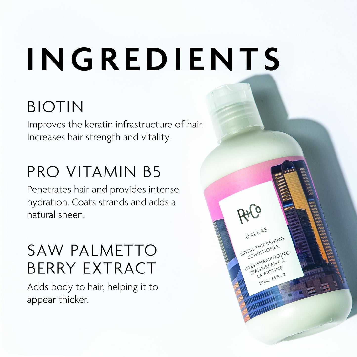 R+Co Dallas Biotin Thickening Conditioner | Weightless Hydration, Strengthens + Enhances Shine | Vegan + Cruelty-Free | 8.5 Oz Beauty & Personal Care R+Co