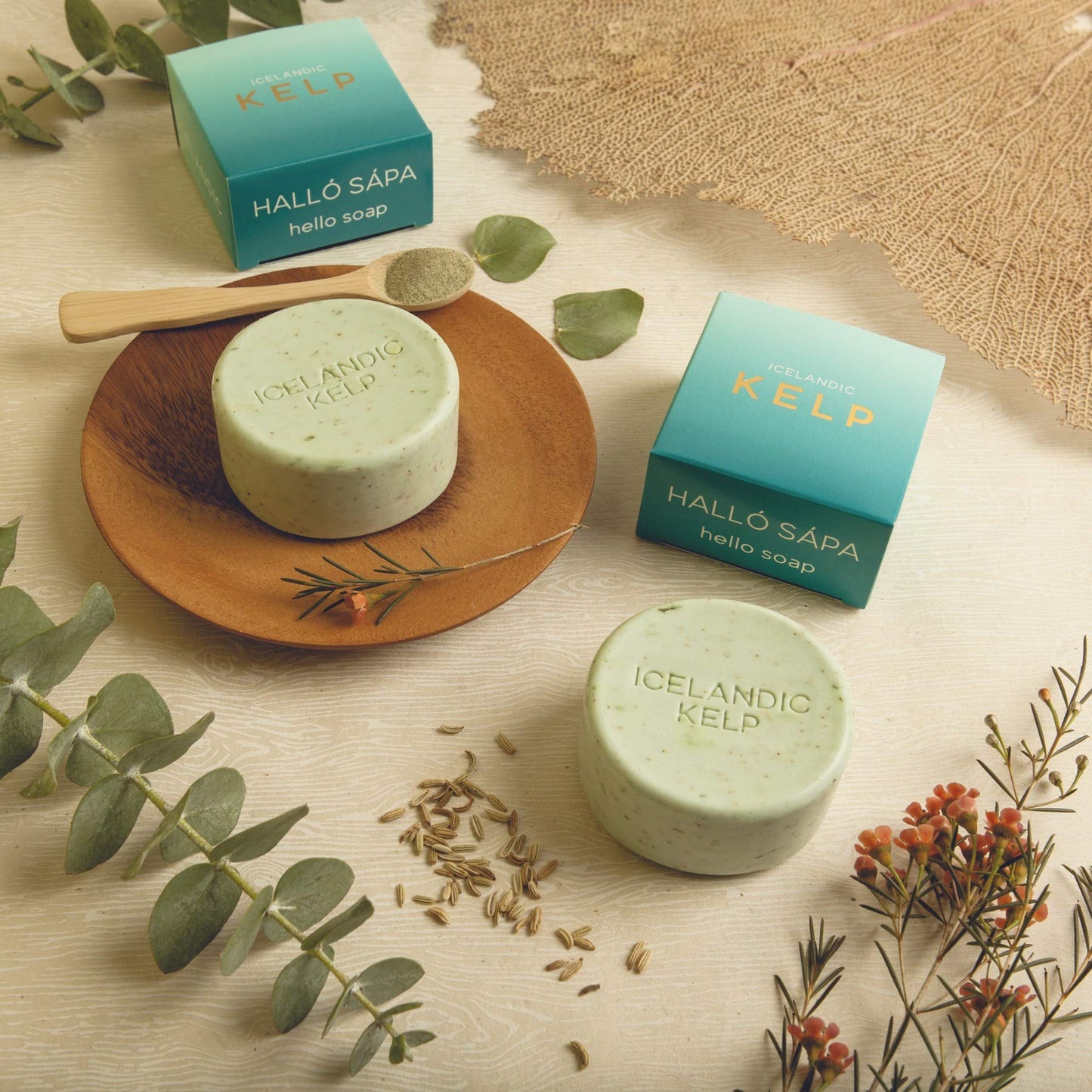 Exfoliating Bars of Soap From Natural Ingredients, Assorted Scents - Icelandic Kelp and Moss, Set of 2, 4.3 Ounce Each Beauty & Personal Care Kalastyle