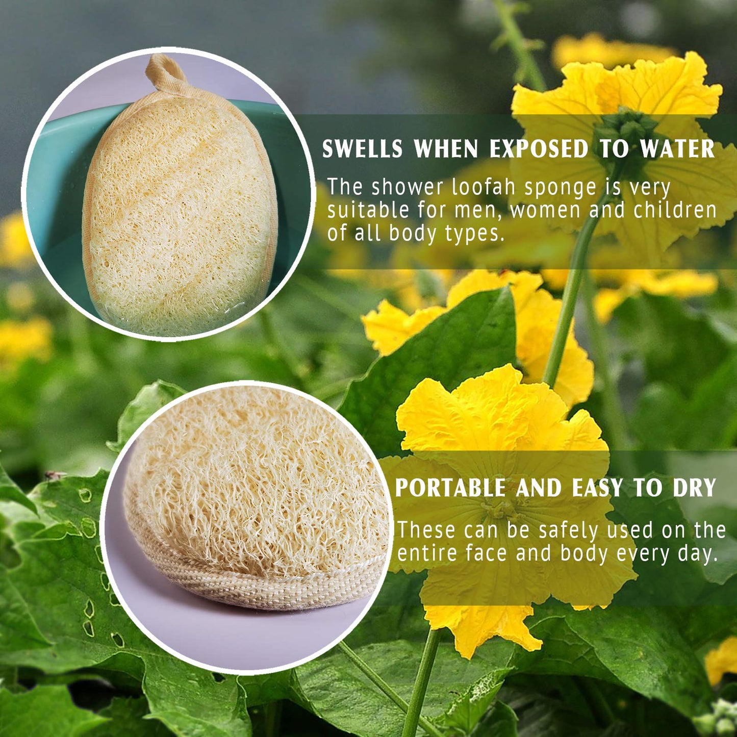 Natural Loofah Sponge Exfoliating Body Scrubber (3 Pack),Made with Eco-Friendly and Biodegradable Shower Luffa Sponge, Loofah for Women and Men, Beige Beauty & Personal Care YIQINGJIE
