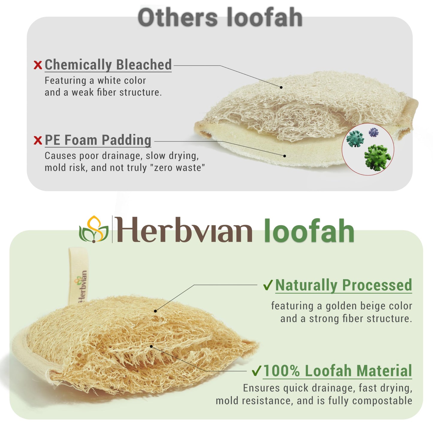 Herbvian Vietnamese Natural Loofah Exfoliating Body Scrubber Pads, 100% Plant-Based Shower Luffa Sponge, Bath Loofah for Women Men (2, Pack of 2) Beauty and Personal Care Herbvian