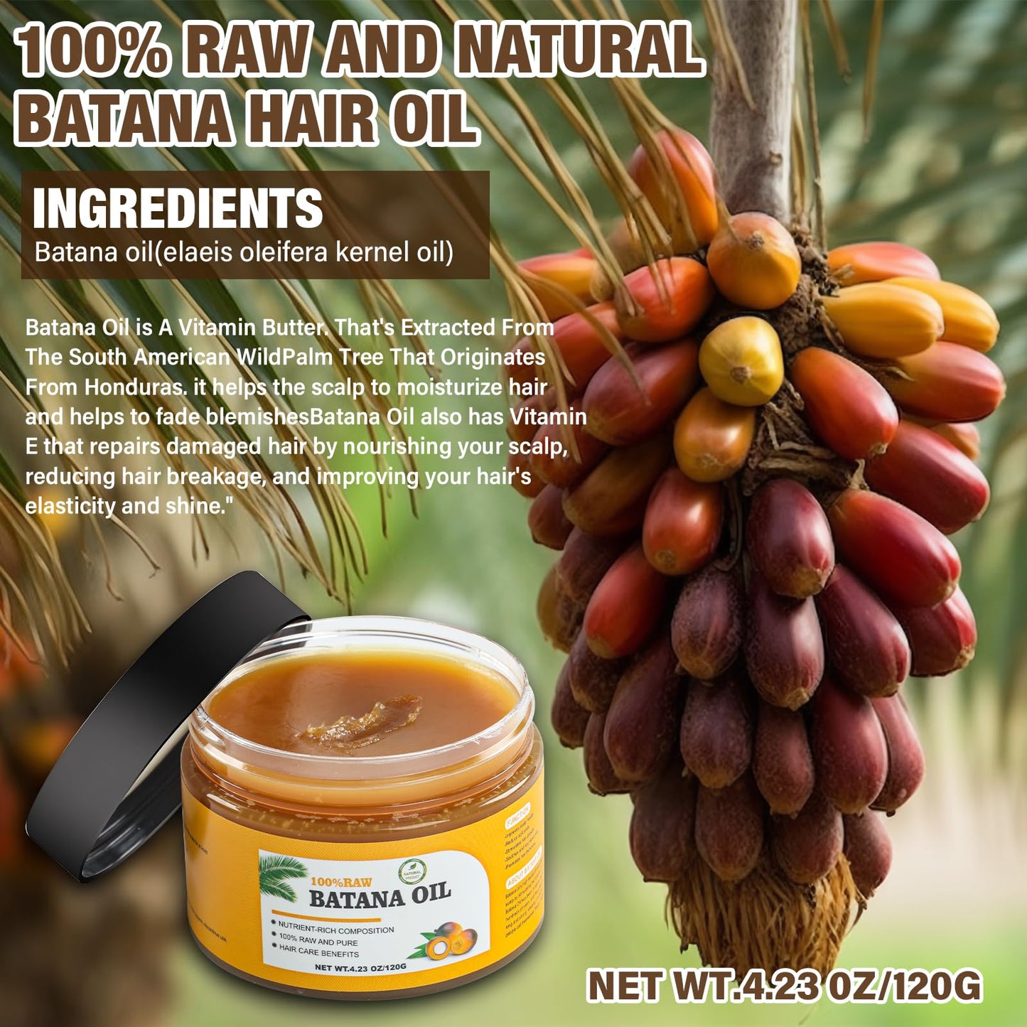 Andreyt Raw Batana Oil for Hair Growth, 100% Natural Pure Dr. Sebi Batana Oil from Honduras, Prevent Hair Loss, Promotes Hair Growth and Thickness Beauty & Personal Care Andreyt